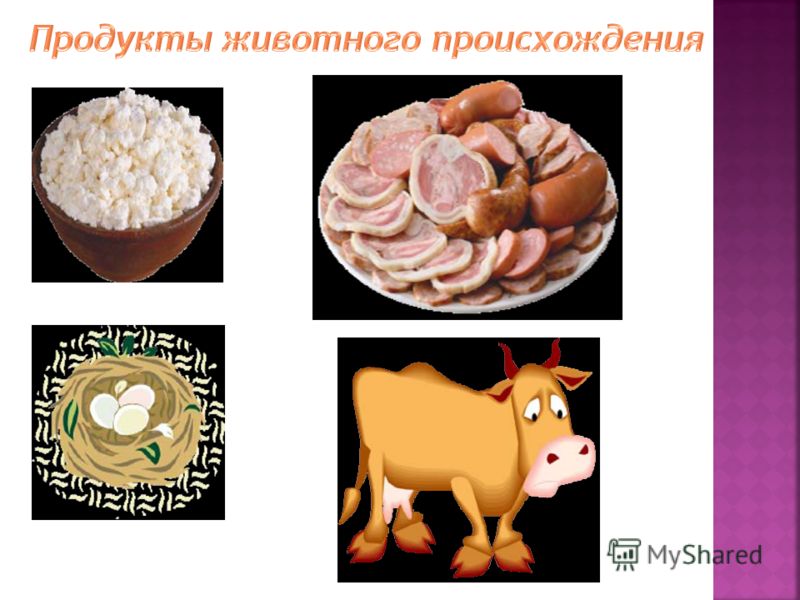 Продукты животного происхождения