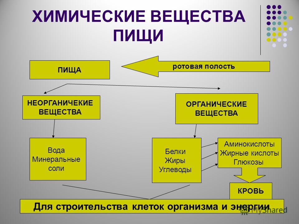 Минеральные соли органические. Химические вещества в пище. Вещества пищи. Органические вещества пищи. Химические источники пищи.