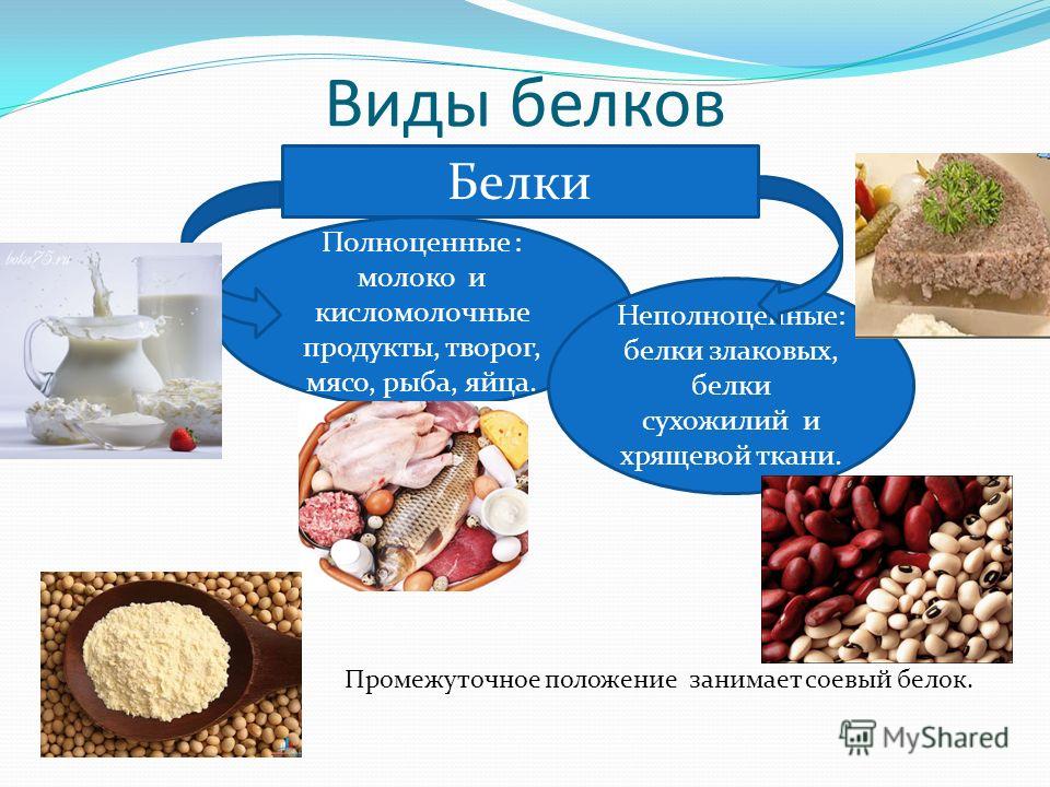 Белки в продуктах презентация