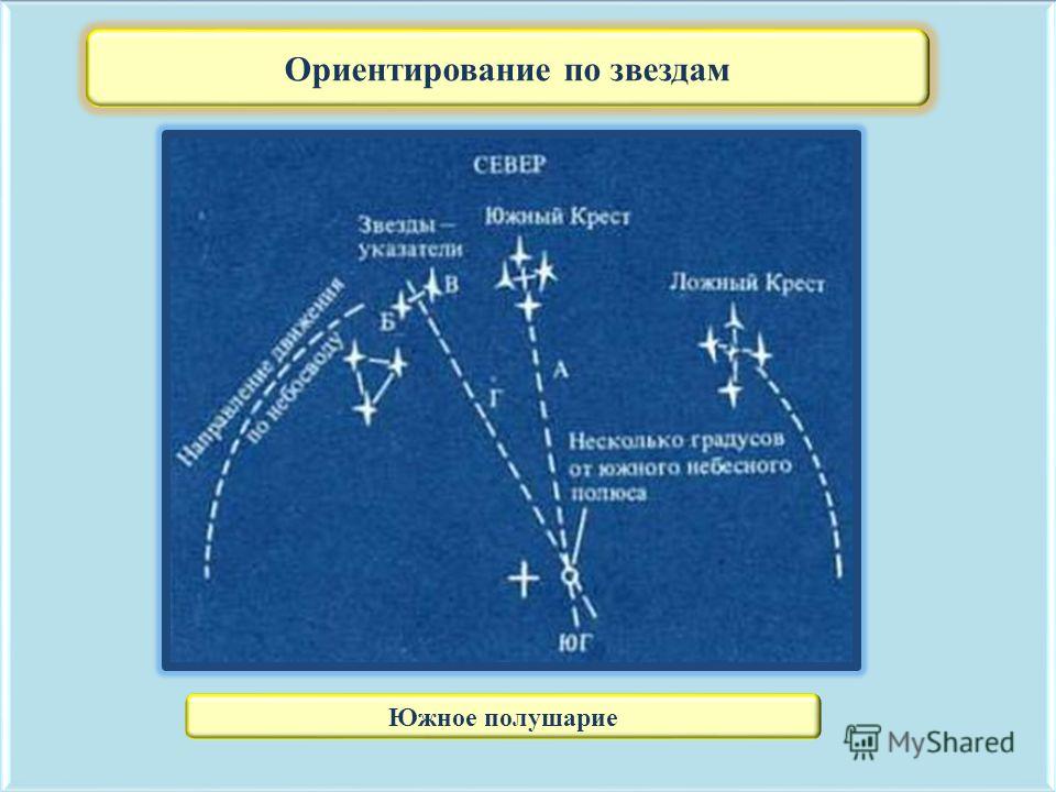 Укажите созвездие показанное на рисунке яркая звезда которого указывает направление севера