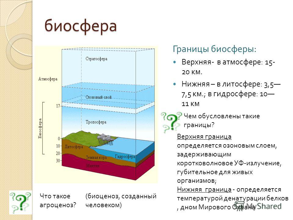 Роль биосферы в атмосфере. Гидросфера границы биосферы нижняя граница. Биосфера границы биосферы и км. Атмосфера гидросфера литосфера Биосфера таблица.
