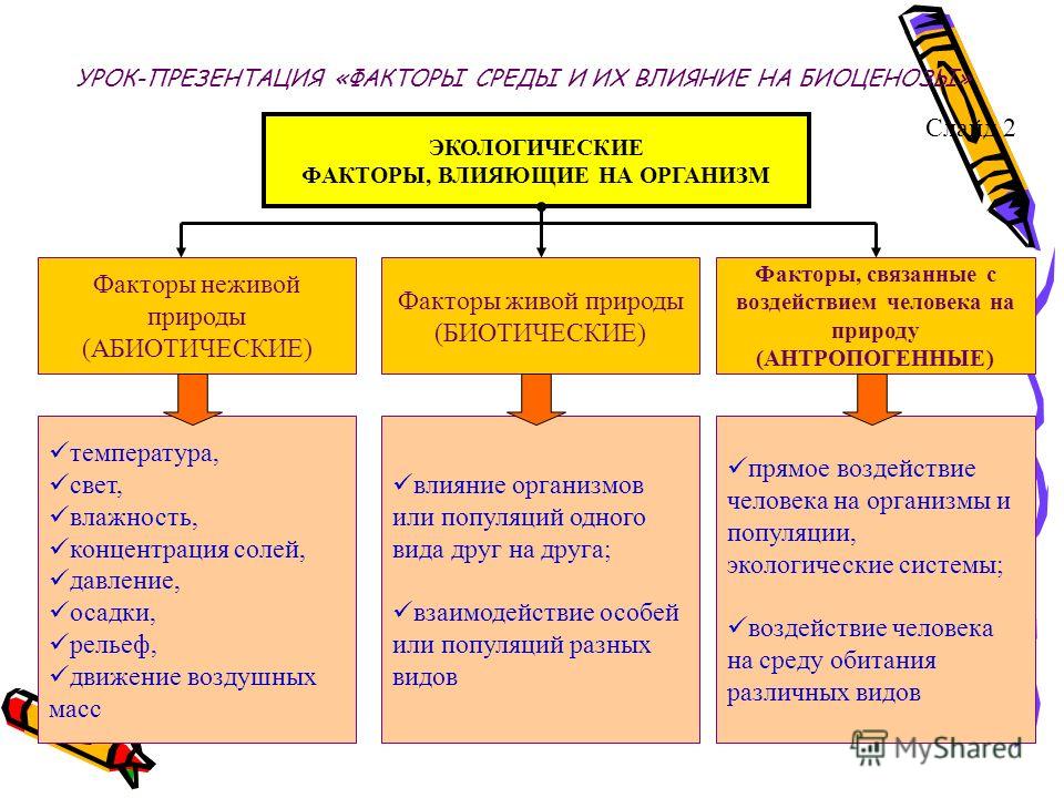 Виды влияющих факторов. Экологические факторы. Влияние экологических факторов на организмы. Экологические факторы влияющие на организм. Факторы живой природы влияющие на организм.