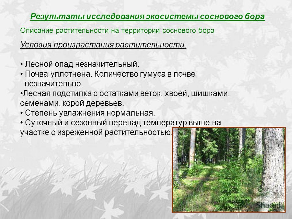 Составьте описание растительности животного мира и почв своей местности по плану 1 наиболее древний