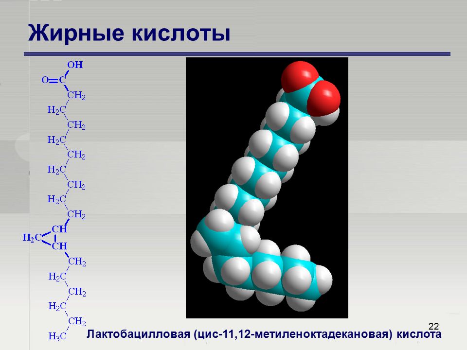 Жирные кислоты картинки