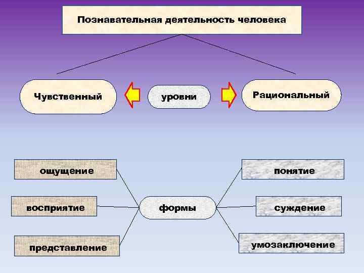 Способность представить в сознании схему предмета явления результата еще до того как они будут