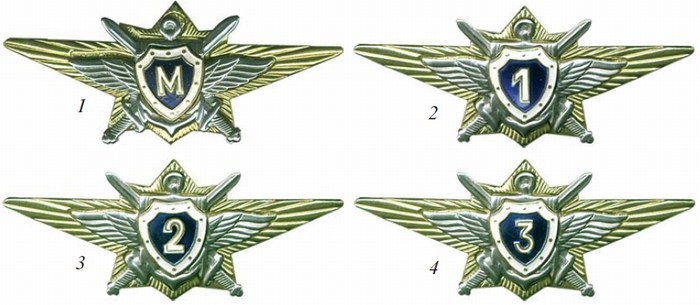 Значок классности в армии для офицеров нового образца