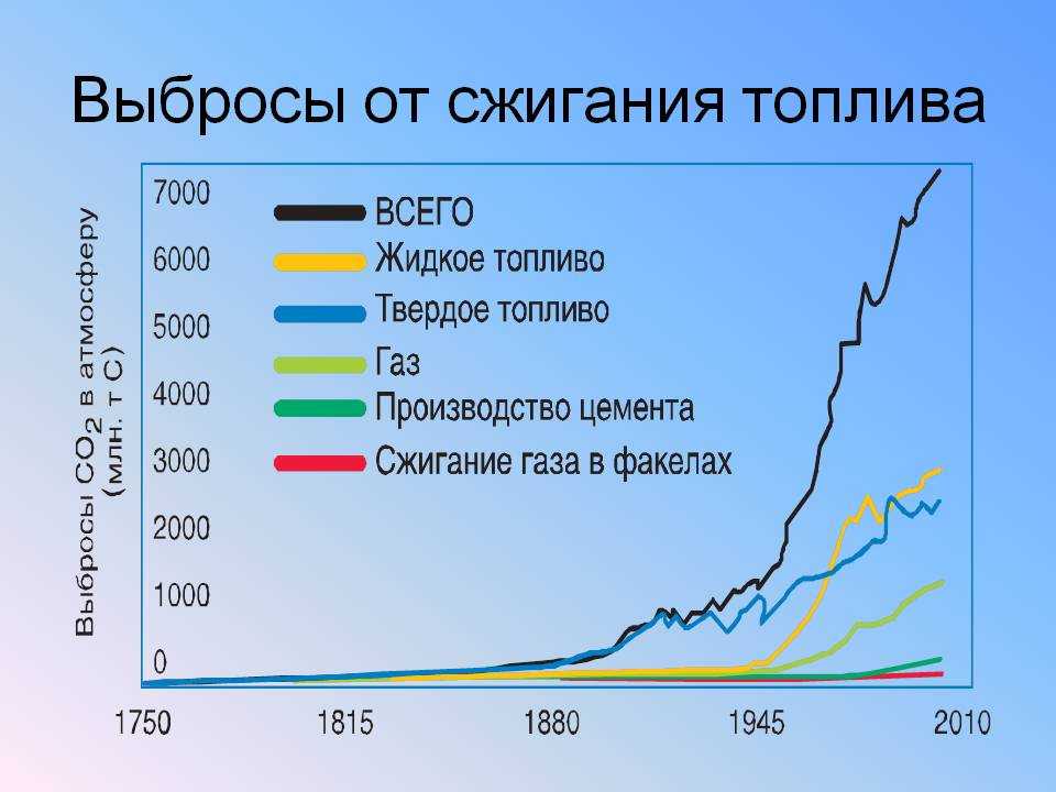 Углекислый газ самый вредный компонент выхлопных газов