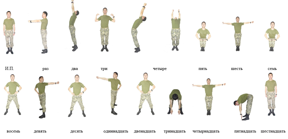 Клоун плюх зарядка комплекс. Комплексы вольных упражнений для военнослужащих 1 2 3. НФП комплекс вольных упражнений. Комплекс вольных упражнений 3 для военнослужащих. НФП комплекс вольных упражнений 1-2.