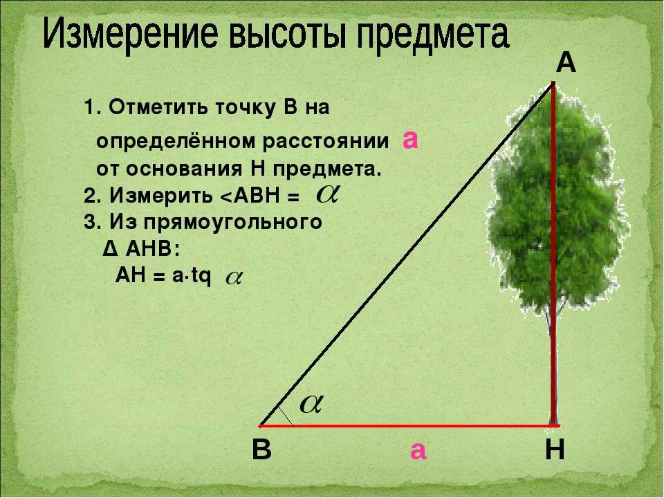 Определи по рисунку расстояние между двумя деревьями обозначенными точками а и б