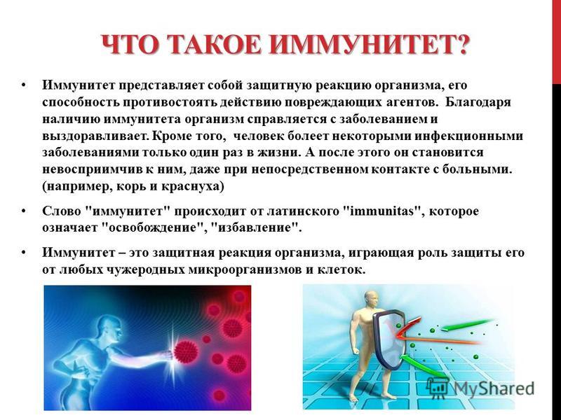 Иммунитет проект 9 класс