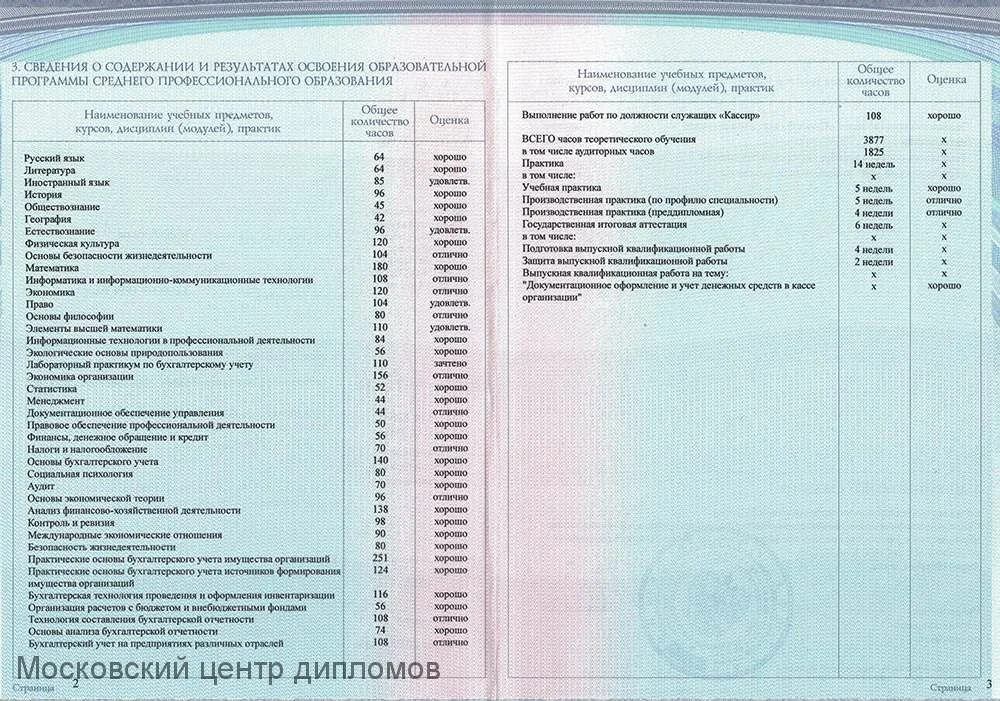 Выписка оценок из аттестата школы образец