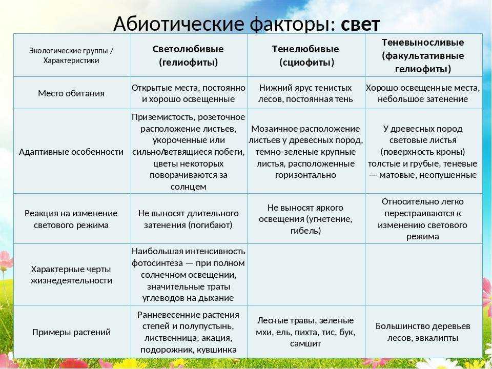 Сложный план промышленный рост и экологическая ситуация