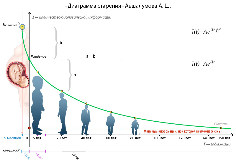 Зависимость здоровья от возраста. Диаграмма старения. Математическая модель старения и старости. График старения человека. Системная схема старения человека.