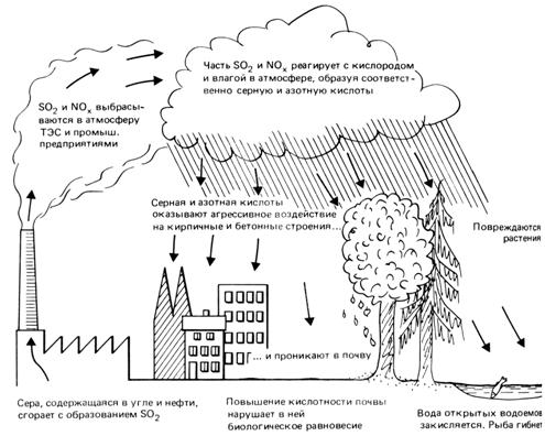 Схема образования кислотных дождей