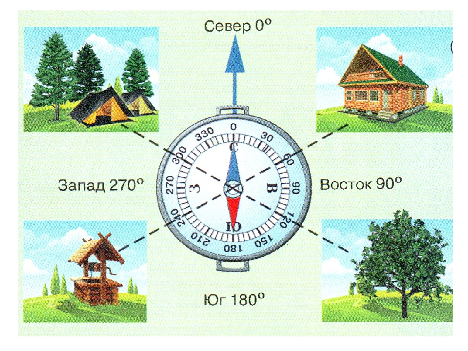 Определение сторон света рисунок