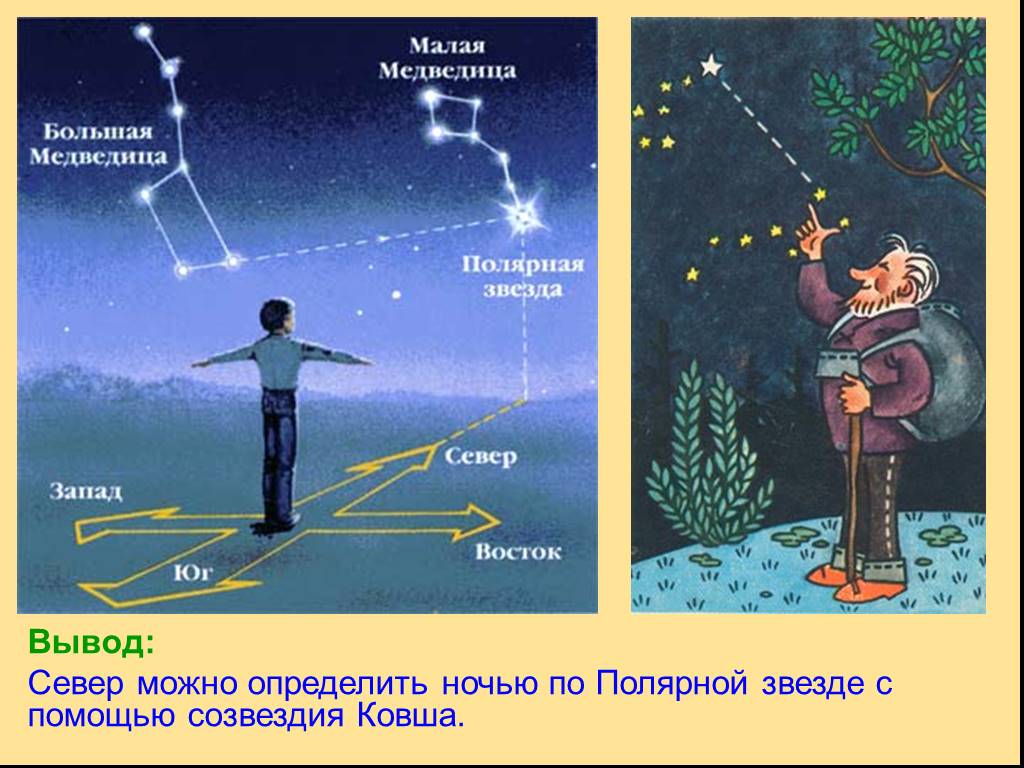 Укажите созвездие показанное на рисунке яркая звезда которого указывает направление севера