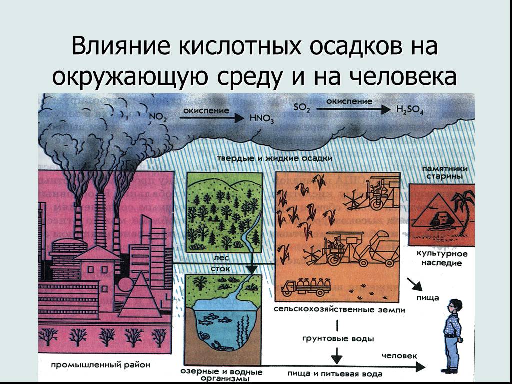 Кислотные осадки проект