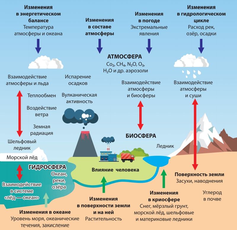 Проект на тему влияние изменения климата на живую природу