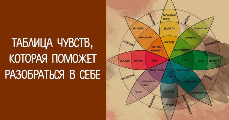 Схема чувств и эмоций человека