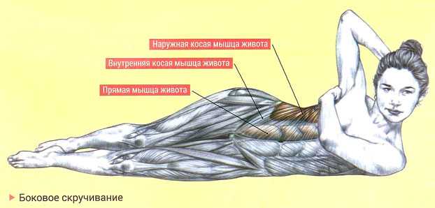 Как накачать поперечную и косую мышцу живота