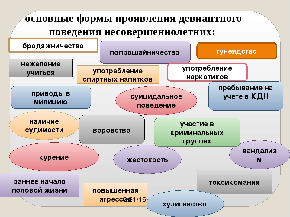 Схема виды поведения