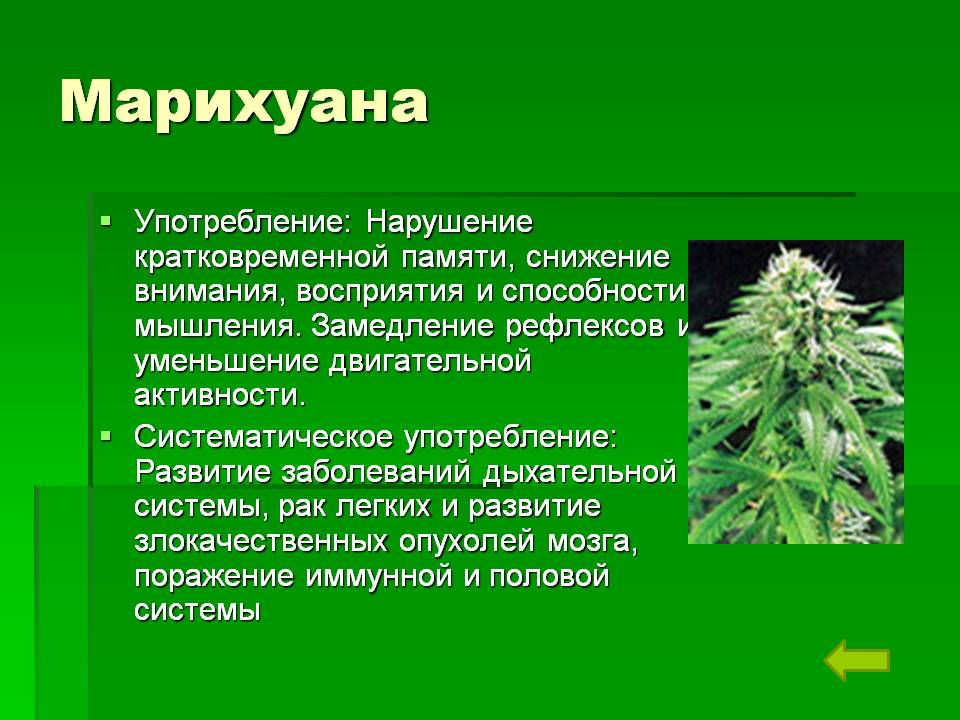 При каких случаях выписывают марихуану закон марихуане украине