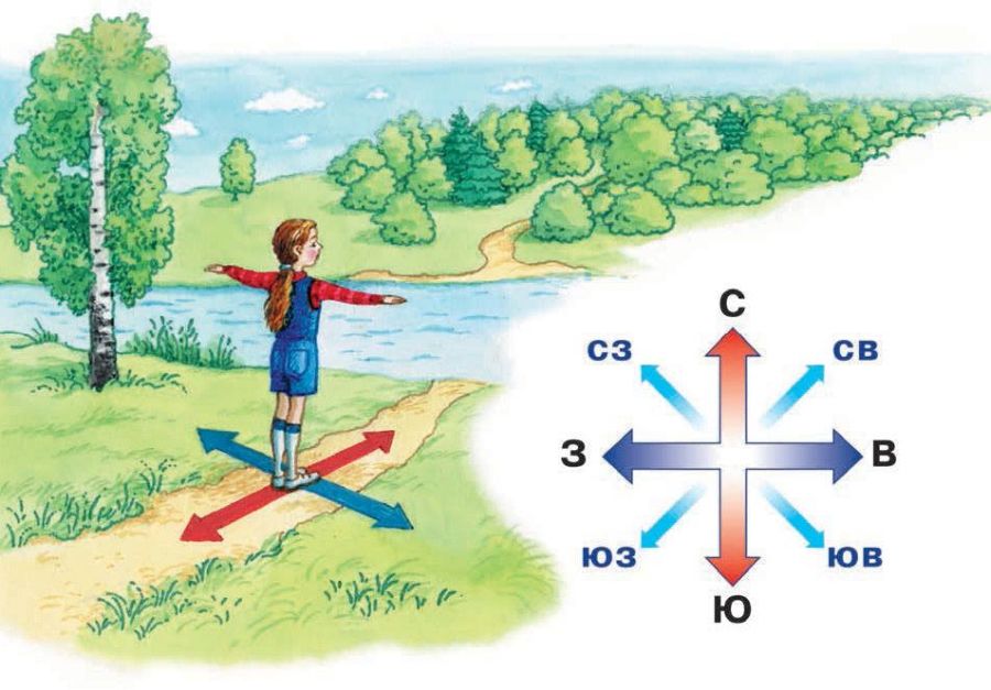 Картинка восток юг север запад восток на