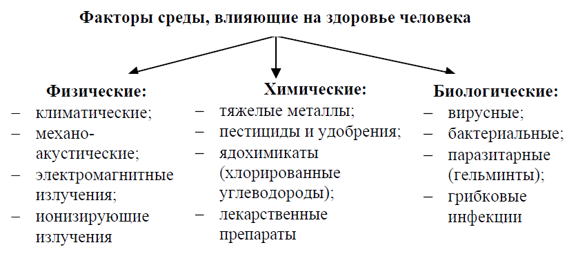 Презентация экологические факторы влияющие на здоровье человека