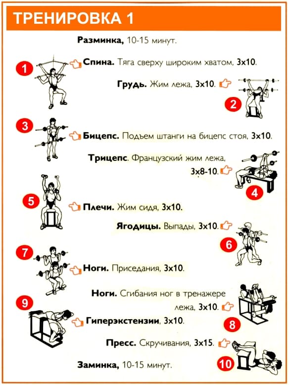 План тренировок в тренажерном зале для девушек для похудения для начинающих с картинками на месяц