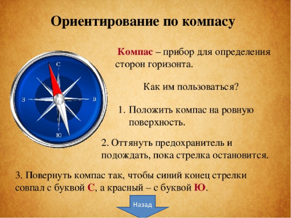 Как читается поэтажный план по часовой стрелке или против часовой стрелки