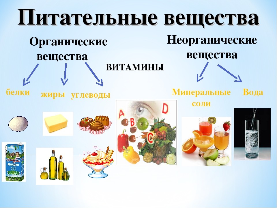 Белки жиры и углеводы презентация по химии