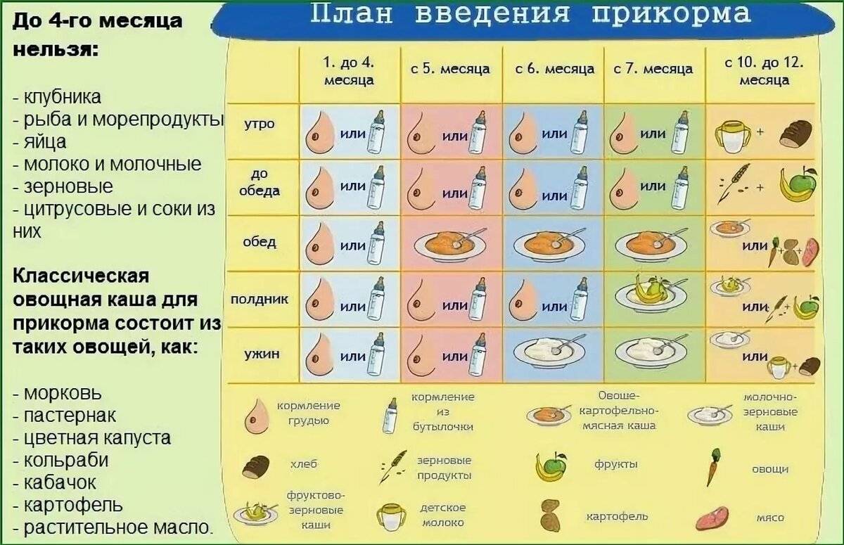 Какие бульоны можно давать ребенку в 7 месяцев