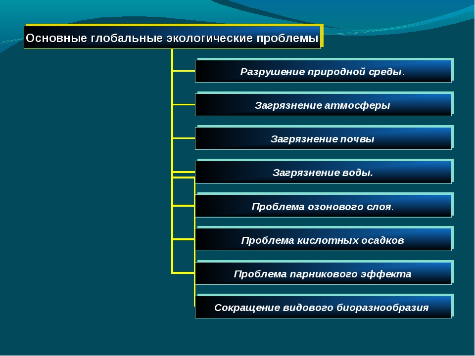 Глобальные решения. Социально экологические проблемы. Проблемы устойчивого развития. Экологические и экономические проблемы. Экономические социальные экологические проблемы.