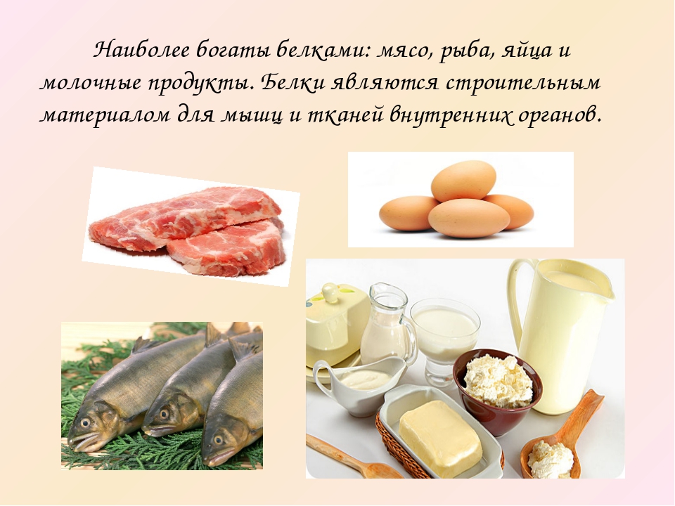 Белки мяса и мясных продуктов. Молочные и мясные продукты. Белки продукты. Мясо молочные продукты. Мясо рыба молочные продукты.