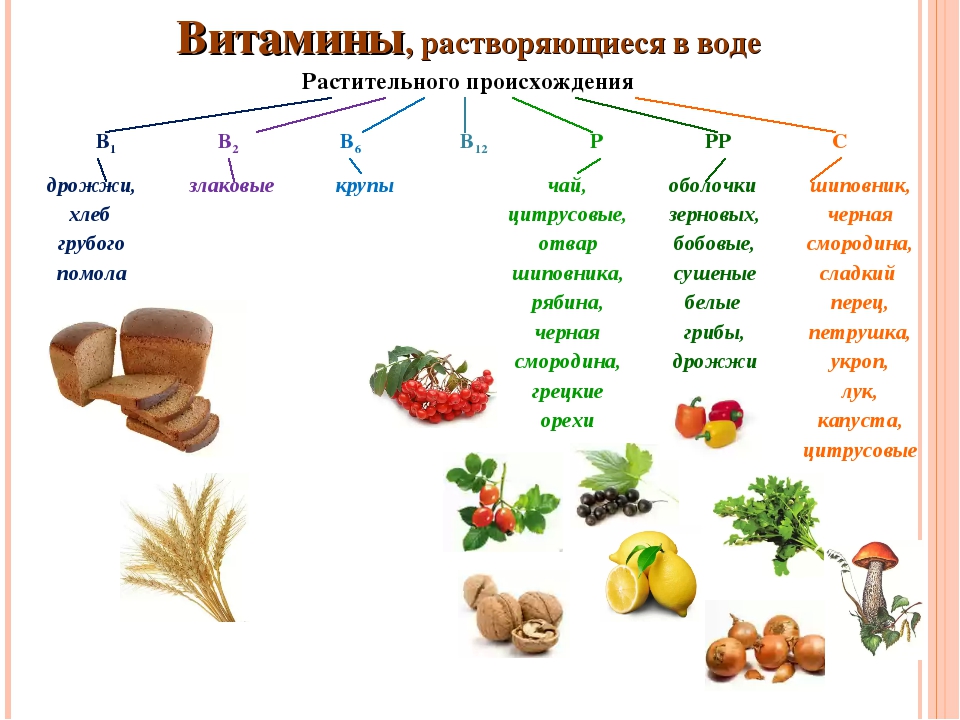 Питательные вещества овощей. Продукты растительного происхождения содержащие в12. Продукты с витамином в12 растительного происхождения. Растительные продукты содержащие витамин в12. Витамин в12 содержание в продуктах таблица.