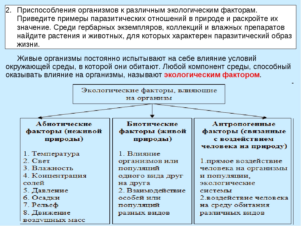 Биология 7 класс факторы среды и их влияние на биоценозы презентация