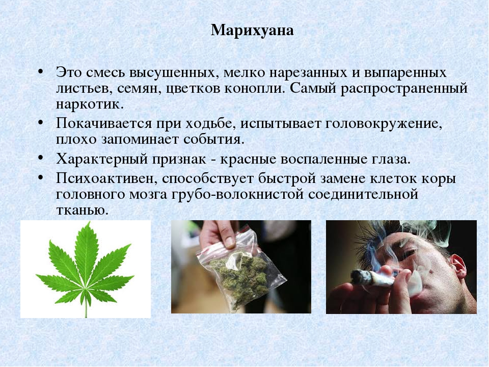Опасна ли конопля для здоровья марихуана россия легализация