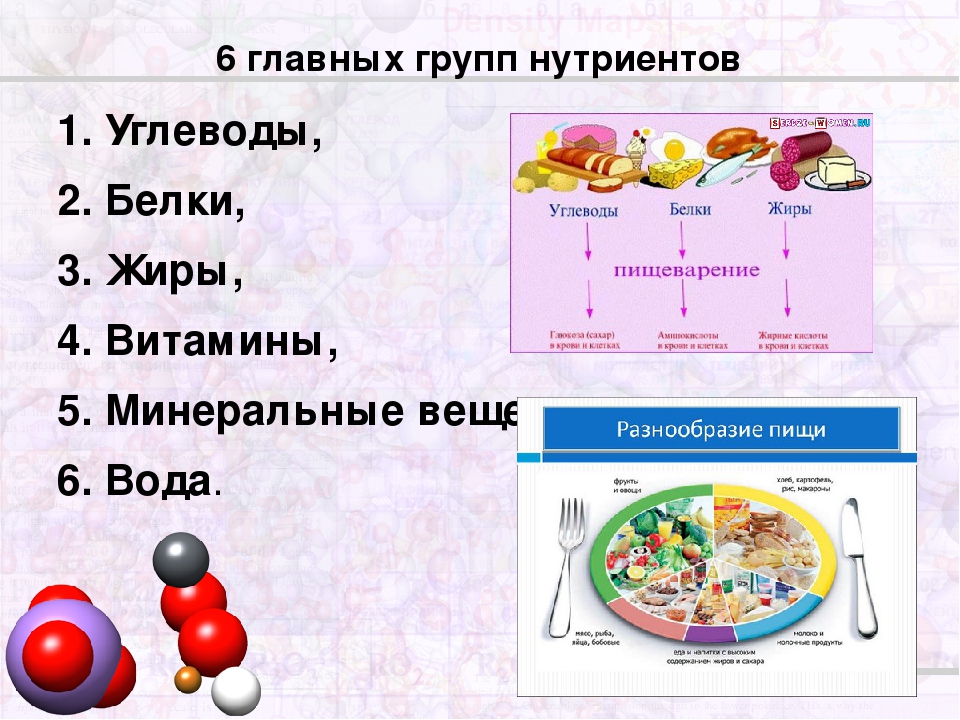 Салат с колбасой белки жиры углеводы