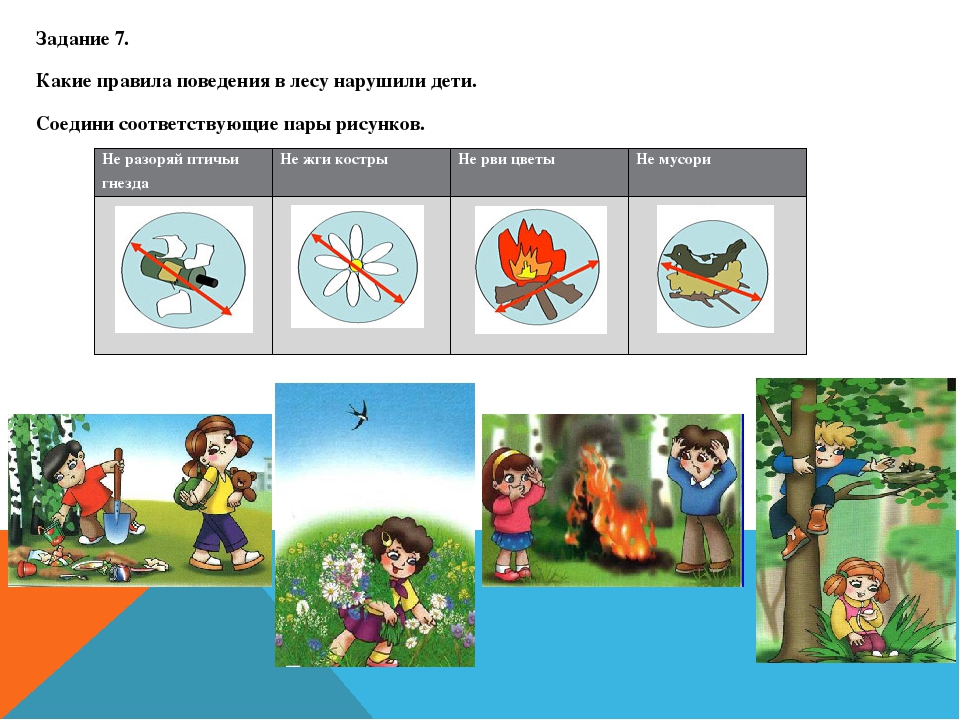 Задания правила поведения. Правила поведения в лесу задания. Поведение на природе задания.