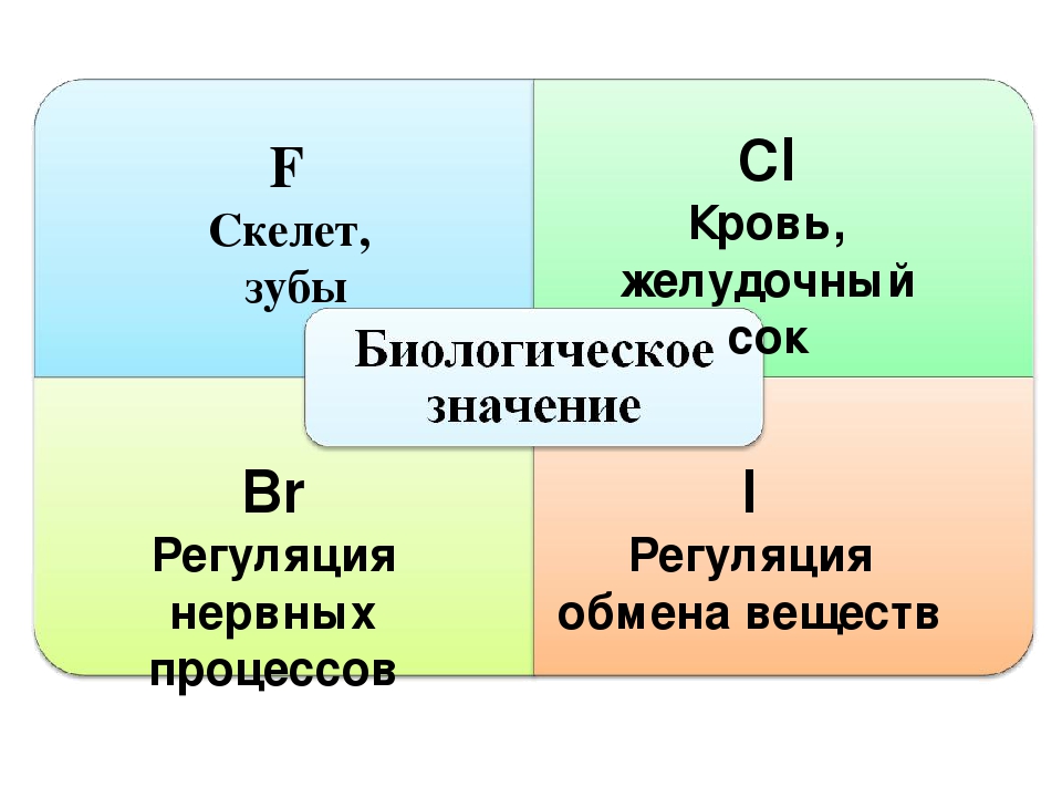 Фтор проект томск