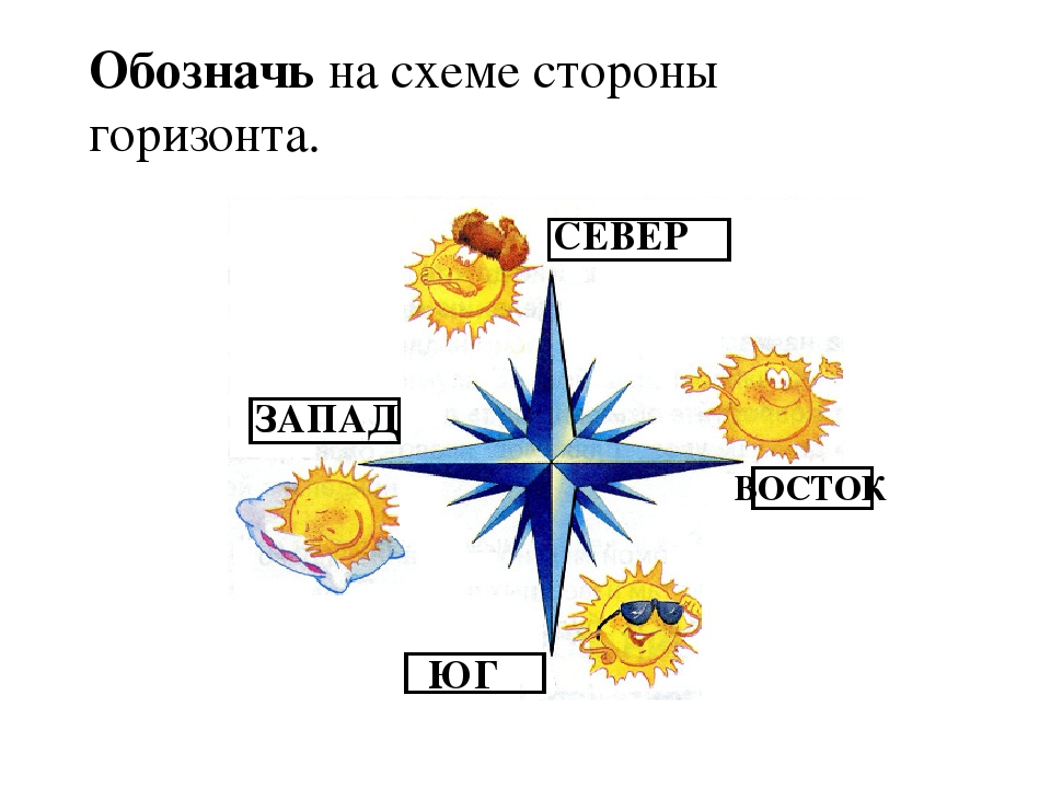 Части горизонта. Стороны света для детей. Север, Юг, Запад, Восток – это стороны горизонта.. Север Юг Запад Восток для детей. Четыре стороны света.