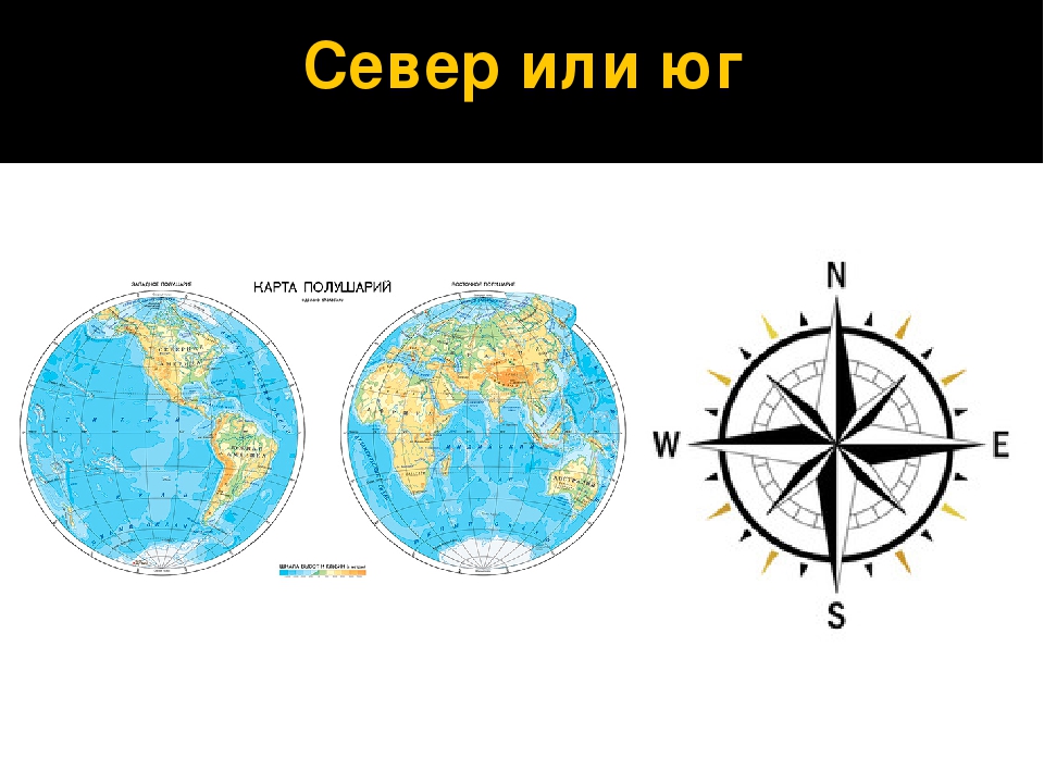 Запад направление. Полюса земли Север Юг Запад Восток. Части света на карте Север Юг Запад Восток. Север Юг Запад Восток расположение на карте. География Север Юг Запад Восток.