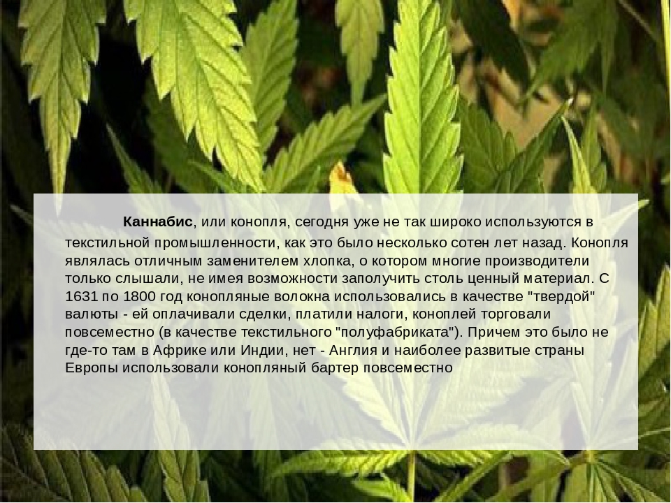 Эфекты марихуаны научная статья о марихуане