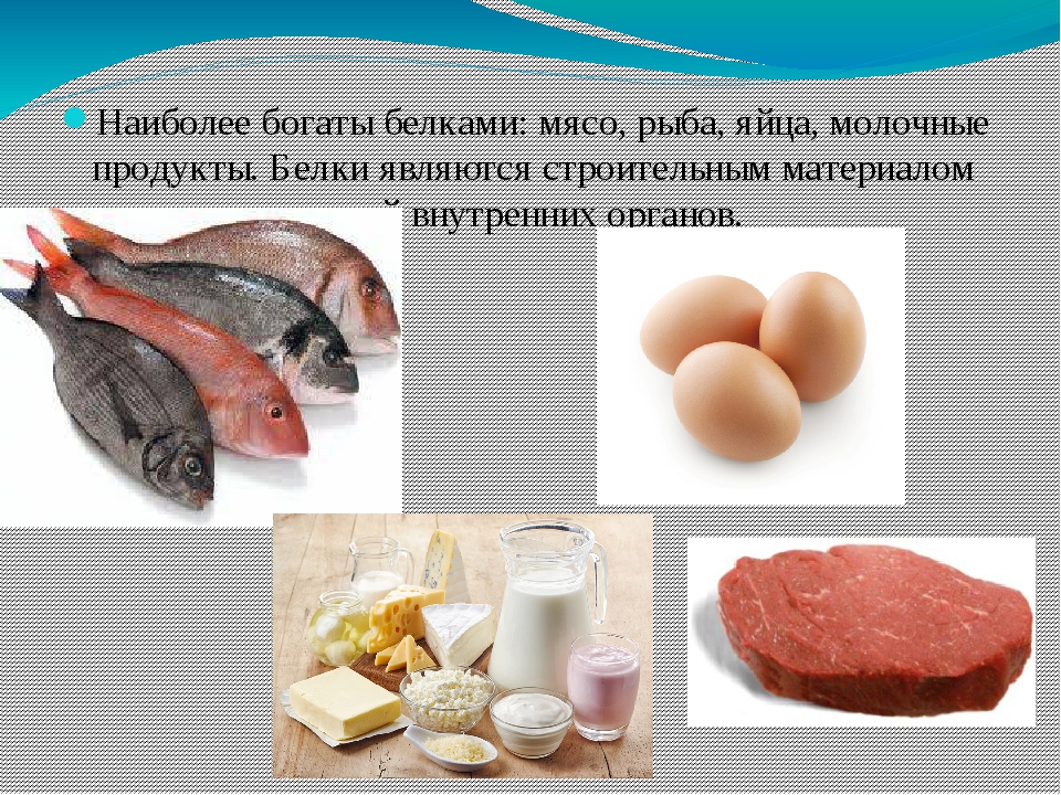 Рецепт рыба яйца. Наиболее богаты белками продукты. Наиболее богаты белком:. Белки мяса. Белок в мясе.