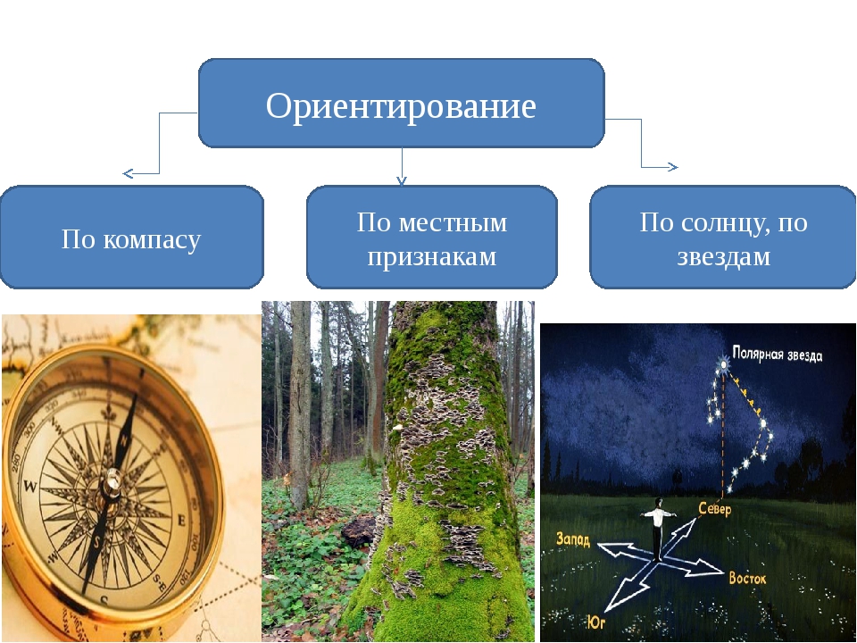 Ориентир мир. Ориентирование по местным признакам. Ориентирование по солнцу по местным признакам. Способы ориентирования на местности по местным признакам. Ориентирование по местным признакам география.