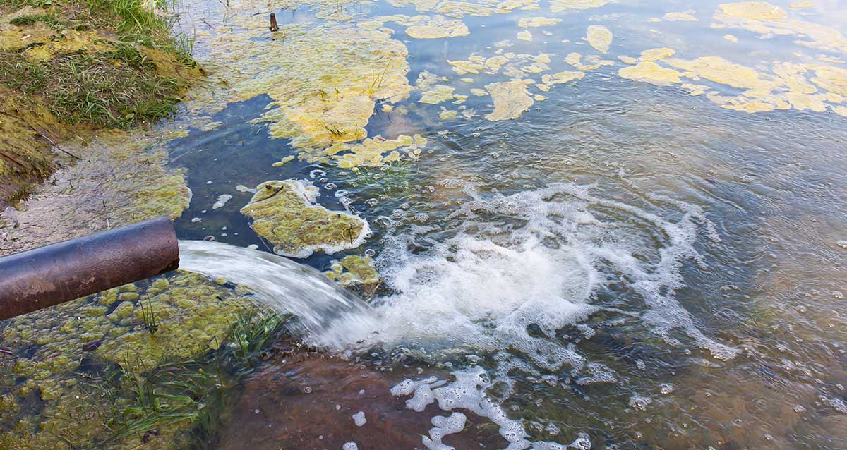 Загрязненные реки и озера россии