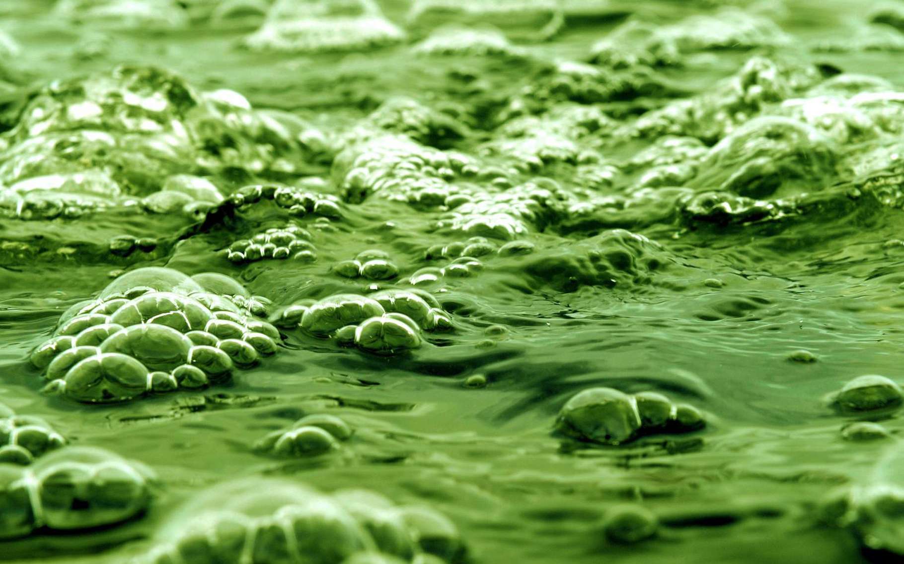 Вода без бактерий
