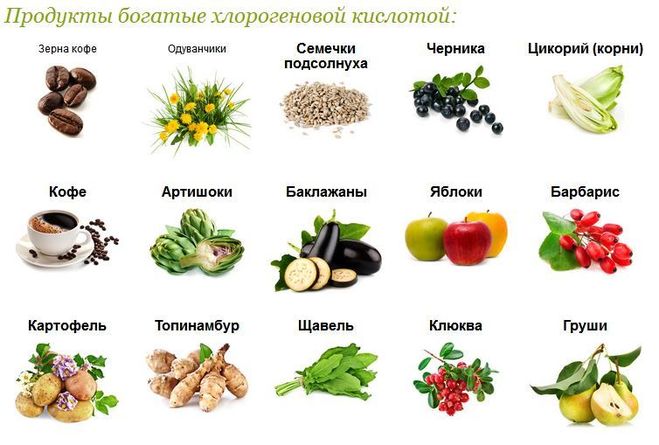 В каких продуктах содержится кислота. Хлорогеновая кислота семян подсолнечника относится. Хлорогеновая кислота в продуктах. Продукты богатые инулином. Продукты с высоким содержанием инулина.