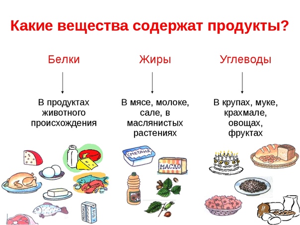 Опишите обмен белков жиров углеводов по плану в каких продуктах в основном содержатся