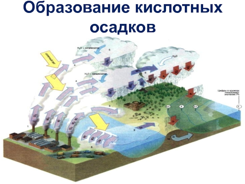 15 на рисунке показана одна из причин возникновения кислотных дождей